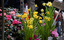 East End Markets London Walk, March 2018