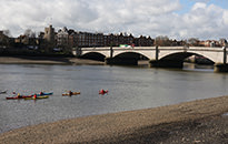 In the Wake of the Boat Race London Walk)