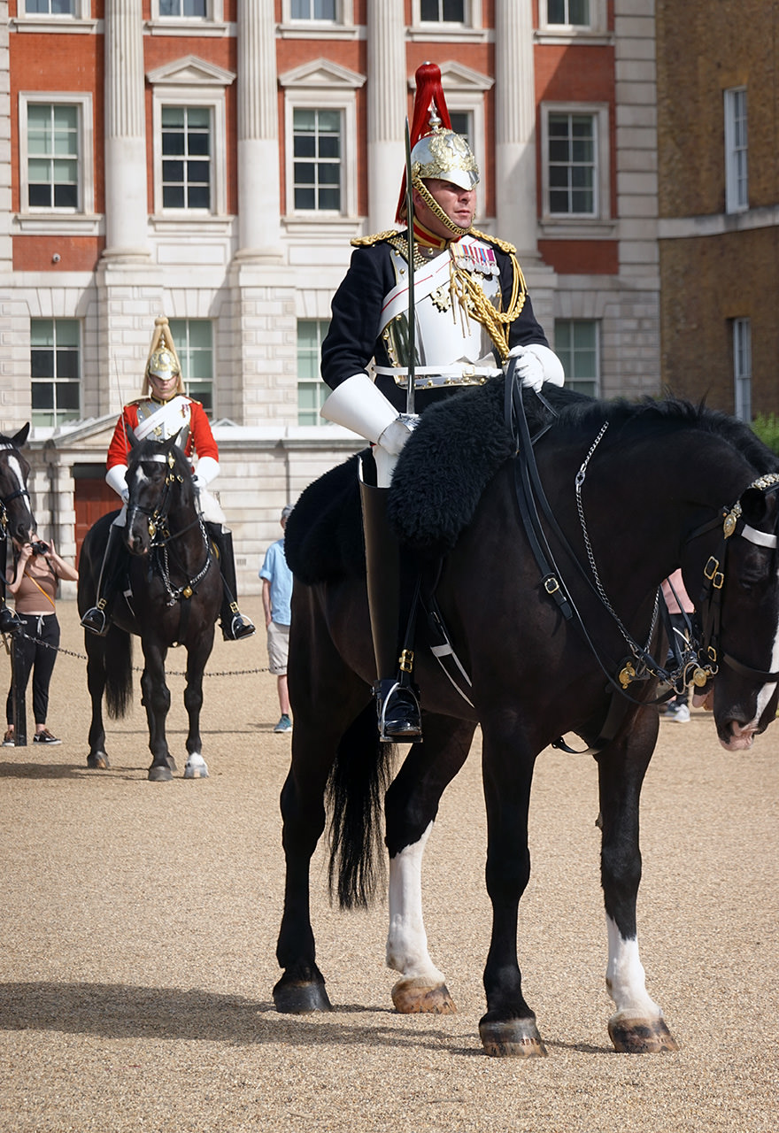 Westminster and Whitehall – Four Palaces and a Cathedral Walking Tour